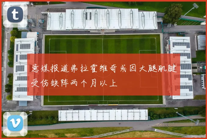 意媒报道弗拉霍维奇或因大腿肌腱受伤缺阵两个月以上