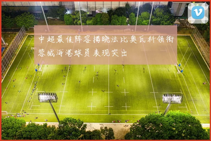 中超最佳阵容揭晓法比奥瓦科领衔蓉城海港球员表现突出