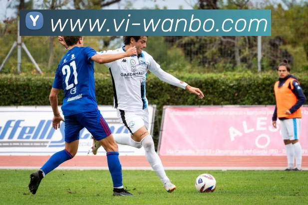 万博足球官网平台生态图