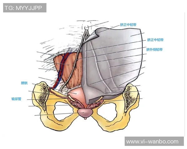 医生解析耻骨炎对亚马尔的影响及其过度使用损伤的成因与后果